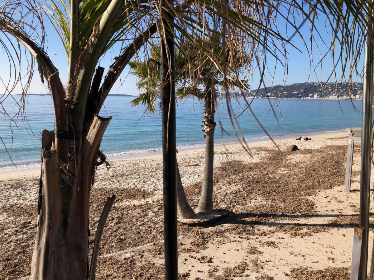 Appartement De Standing Le Velvet Bay Climatise En Bord De